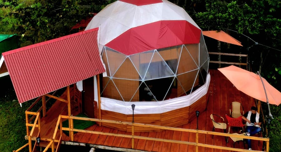 Nueva Suite